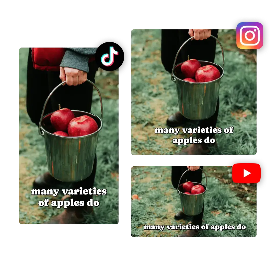Grok Imagine AI