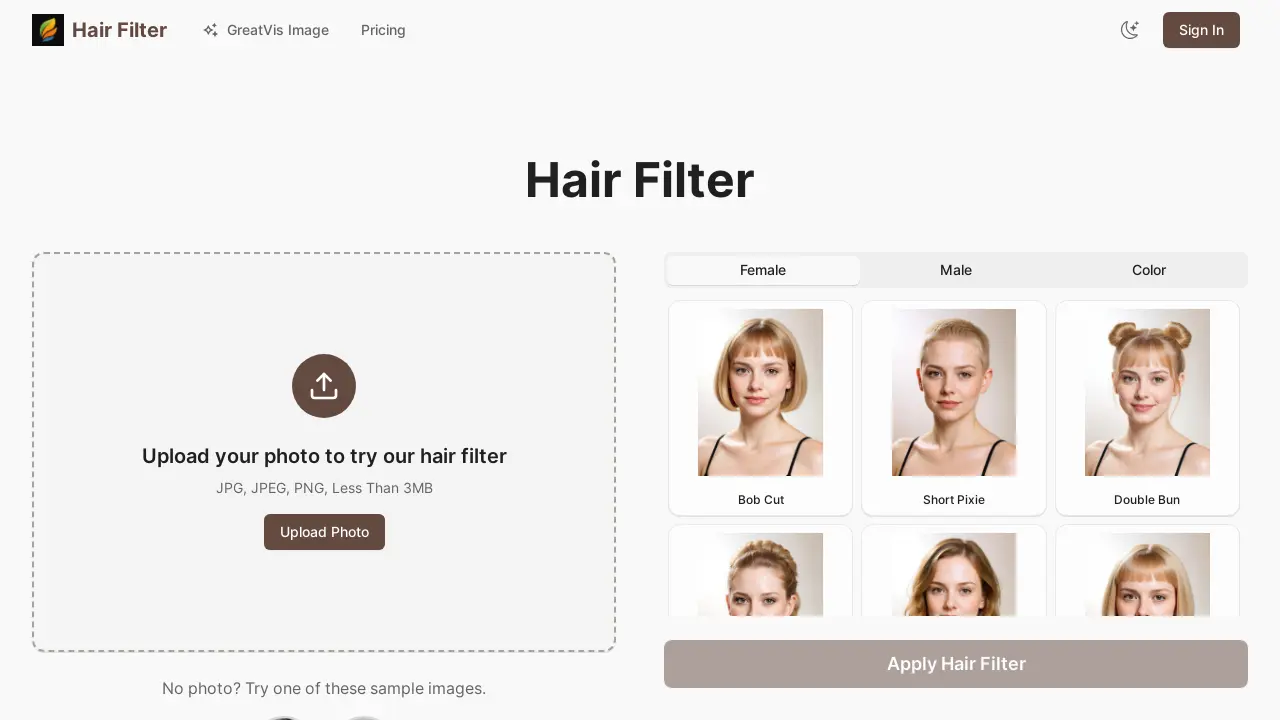 Hair Filter